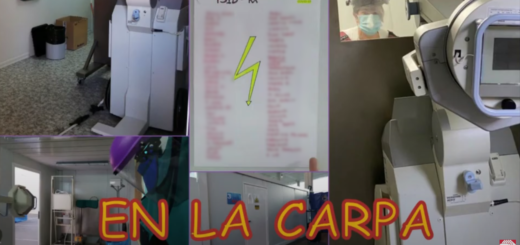 RX en la carpa